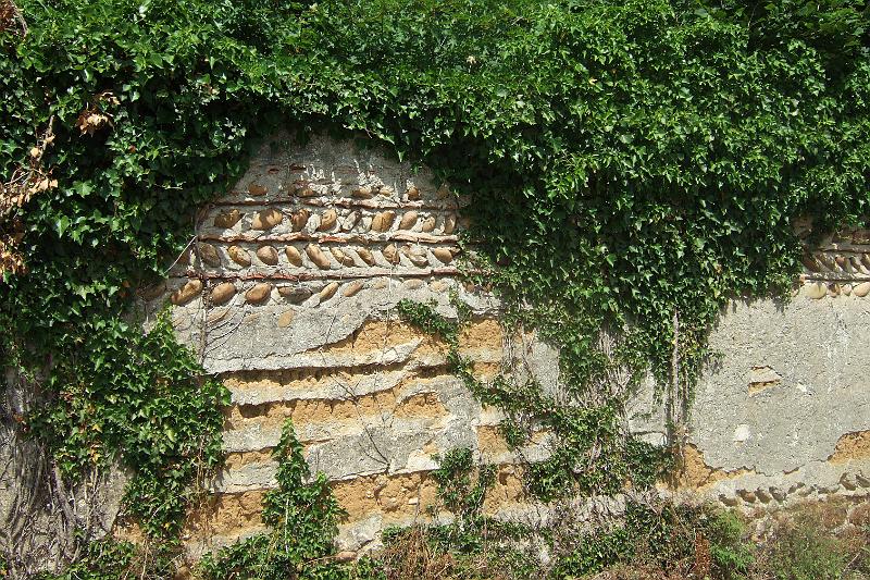2011-05- (748).JPG